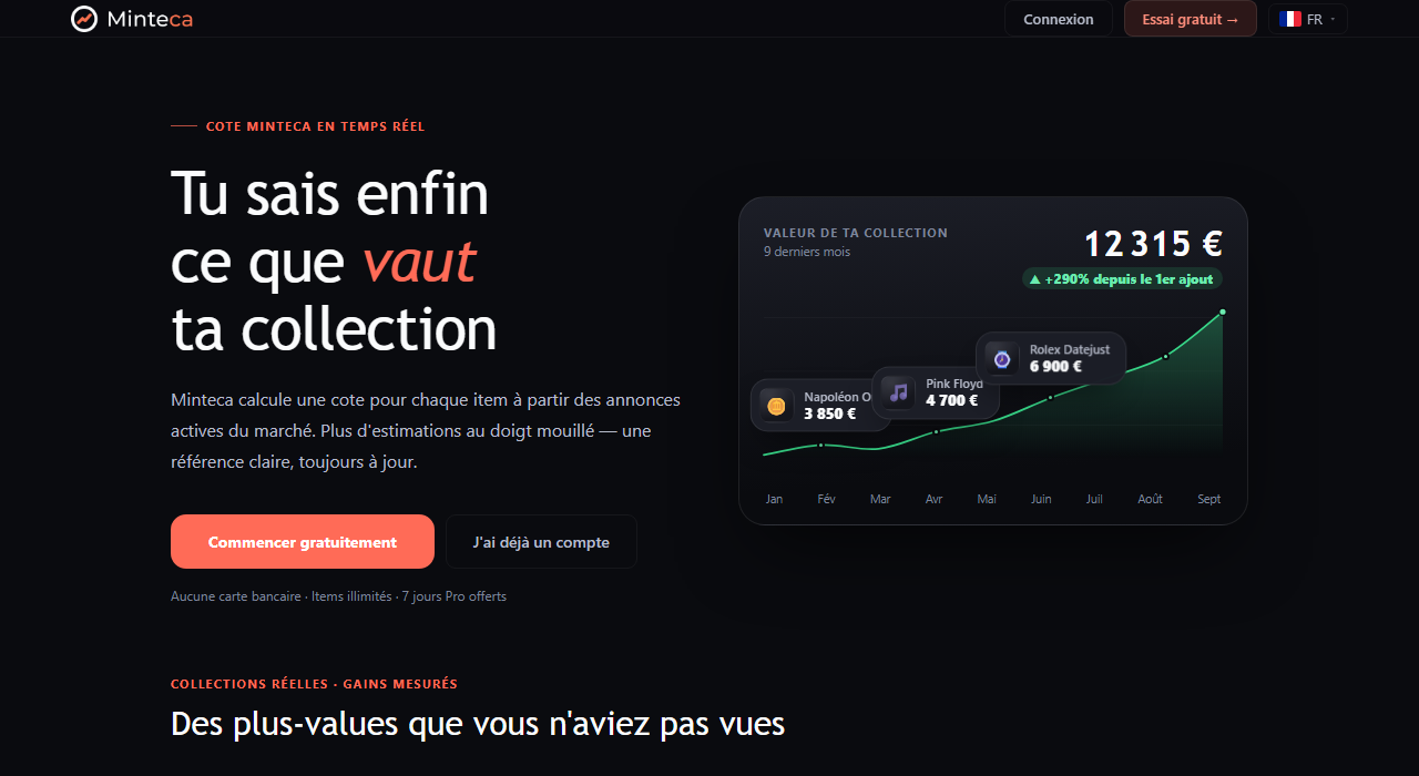 Capture d'écran de minteca.com